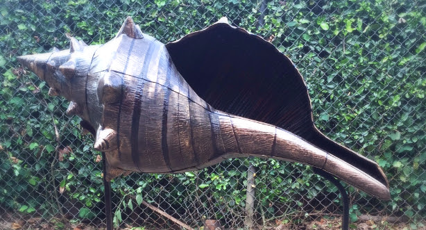 filter_Reppoussé Conch Shell