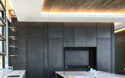 WHAT SHOULD YOU KNOW ABOUT METAL CLADDINGS?